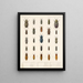 Insects Beetles Pl 067 - Frederick Du Cane Godman — framed artwork on a wall