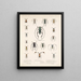 Insectes Coléoptères Pl 211 - Frederick Du Cane Godman — framed artwork on a wall