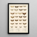 Insecta Lepidoptera Heterocera Pl 026 - Frederick DuCane Godman — framed artwork on a wall