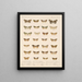 Insects Lepidoptera Heterocera Pl 056 - Frederick Du Cane Godman — framed artwork on a wall