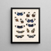 Insects Lepidoptera Rhopalocera Pl 018 - Frederick Du Cane Godman — framed artwork on a wall