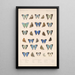 Insecta Lepidoptera Rhopalocera Pl 052 - Frederick DuCane Godman — framed artwork on a wall