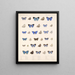 Insects Lepidoptera Rhopalocera Pl 056 - Frederick DuCane Godman — framed artwork on a wall