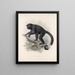Mammalia Pl 01 - Frederick DuCane Godman — framed artwork on a wall