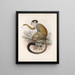 Mammalia Pl 02 - Frederick DuCane Godman — framed artwork on a wall