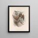 Mammalia Pl 03 - Frederick DuCane Godman — framed artwork on a wall
