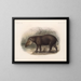 Mammifères Pl 07 - Frederick DuCane Godman — framed artwork on a wall