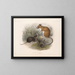 Mammifères Pl 12 - Frederick DuCane Godman — framed artwork on a wall