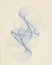 Curve of the Pendulum - Frederick H. Evans — artwork view
