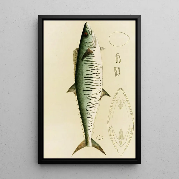 Fish I - Frederick McCoy — framed artwork on a wall