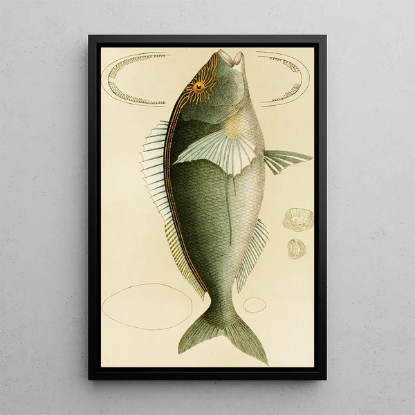 V Fish Painting - Frederick McCoy — framed artwork on a wall