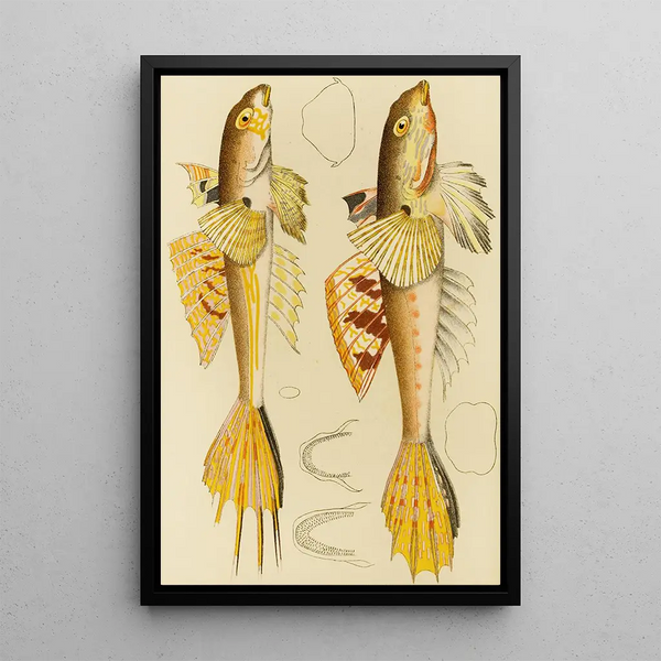 Fish X Painting - Frederick McCoy — framed artwork on a wall