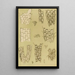 Bryozoaires X - Frederick McCoy — framed artwork on a wall