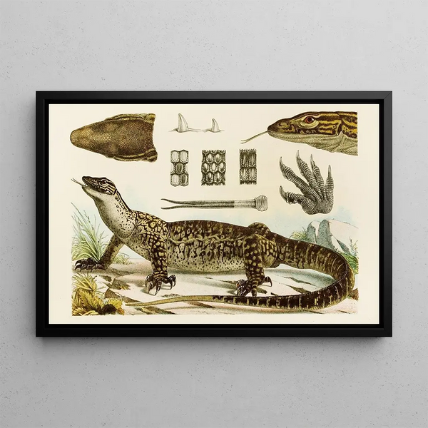 Reptiles I - Frederick McCoy — framed artwork on a wall