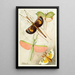 Orthopteran Painting - Frederick William Frohawk — framed artwork on a wall