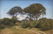 Part of the Frgelunden Park near Jgerspris - Frederik Kraft — artwork view