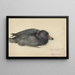 Macreuse noire - Frederika Henriette Broeksmit — framed artwork on a wall