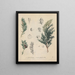 Book on Toxic Plants Pl02 - Friedrich Berge — framed artwork on a wall