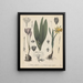 Livre sur les plantes toxiques Pl03 - Friedrich Berge — framed artwork on a wall
