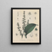 Livre sur les plantes toxiques Pl04 - Friedrich Berge — framed artwork on a wall