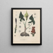 Livre sur les plantes toxiques Pl06 - Friedrich Berge — framed artwork on a wall