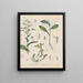 Book on Toxic Plants Pl07 - Friedrich Berge — framed artwork on a wall
