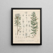Book on Toxic Plants Pl09 - Friedrich Berge — framed artwork on a wall