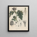 Livre sur les plantes toxiques Pl12 - Friedrich Berge — framed artwork on a wall