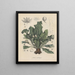 Livre sur les plantes toxiques Pl13 - Friedrich Berge — framed artwork on a wall