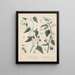 Livre sur les plantes toxiques Pl14 - Friedrich Berge — framed artwork on a wall