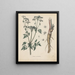 Livre sur les plantes toxiques Pl20 - Friedrich Berge — framed artwork on a wall