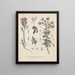 Livre des plantes toxiques Pl23 - Friedrich Berge — framed artwork on a wall