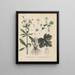 Livre sur les plantes toxiques Pl24 - Friedrich Berge — framed artwork on a wall