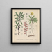 Livre sur les plantes toxiques Pl28 - Friedrich Berge — framed artwork on a wall