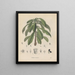 Livre sur les plantes toxiques Pl29 - Friedrich Berge — framed artwork on a wall