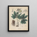 Livre sur les plantes toxiques Pl30 - Friedrich Berge — framed artwork on a wall