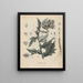 Book on Toxic Plants Pl31 - Friedrich Berge — framed artwork on a wall