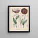 Livre sur les plantes toxiques Pl34 - Friedrich Berge — framed artwork on a wall