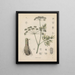 Livre sur les plantes toxiques Pl38 - Friedrich Berge — framed artwork on a wall