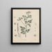 Livre sur les plantes toxiques Pl39 - Friedrich Berge — framed artwork on a wall
