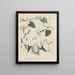 Book on Toxic Plants Pl41 - Friedrich Berge — framed artwork on a wall
