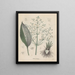 Livre sur les plantes toxiques Pl43 - Friedrich Berge — framed artwork on a wall