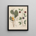 Livre sur les plantes toxiques Pl45 - Friedrich Berge — framed artwork on a wall