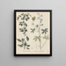 Livre sur les plantes toxiques Pl46 - Friedrich Berge — framed artwork on a wall