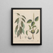 Livre sur les plantes toxiques Pl50 - Friedrich Berge — framed artwork on a wall