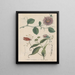 Livre sur les plantes toxiques Pl52 - Friedrich Berge — framed artwork on a wall