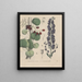 Livre sur les plantes toxiques Pl55 - Friedrich Berge — framed artwork on a wall