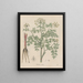 Book on Toxic Plants Pl57 - Friedrich Berge — framed artwork on a wall