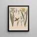 Book on Toxic Plants Pl58 - Friedrich Berge — framed artwork on a wall
