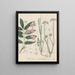 Livre des plantes toxiques Pl62 - Friedrich Berge — framed artwork on a wall